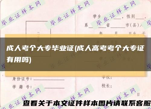 成人考個大專畢業證(成人高考考個大專證有用嗎)縮略圖