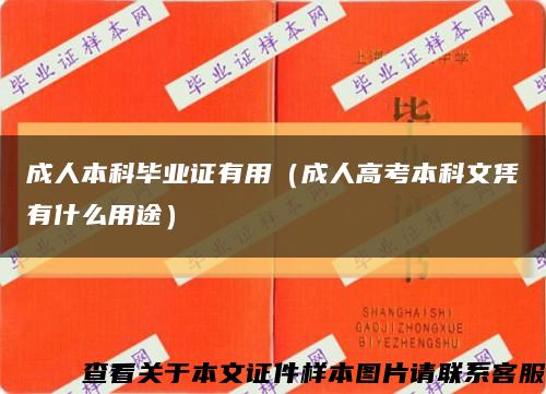 成人本科畢業證有用（成人高考本科文憑有什么用途）縮略圖