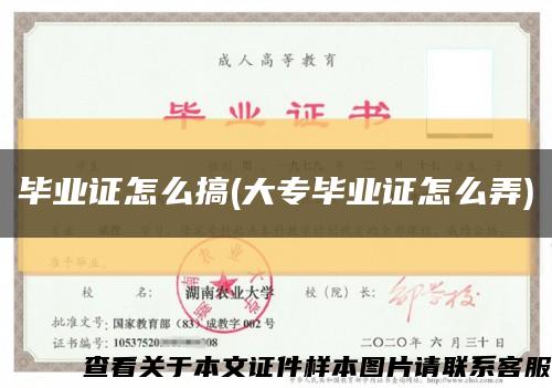 畢業證怎么搞(大專畢業證怎么弄)縮略圖