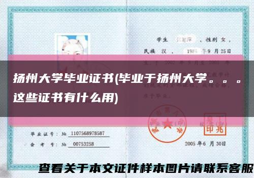 揚州大學畢業證書(畢業于揚州大學。。。這些證書有什么用)縮略圖