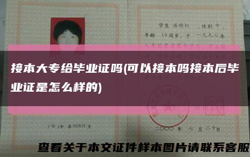 接本大專給畢業證嗎(可以接本嗎接本后畢業證是怎么樣的)縮略圖