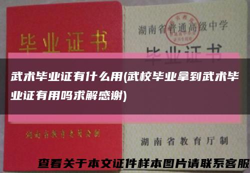 武術畢業證有什么用(武校畢業拿到武術畢業證有用嗎求解感謝)縮略圖