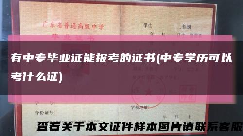 有中專畢業證能報考的證書(中專學歷可以考什么證)縮略圖
