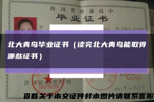 北大青鳥畢業證書（讀完北大青鳥能取得哪些證書）縮略圖