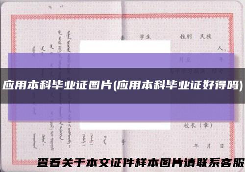 應用本科畢業證圖片(應用本科畢業證好得嗎)縮略圖