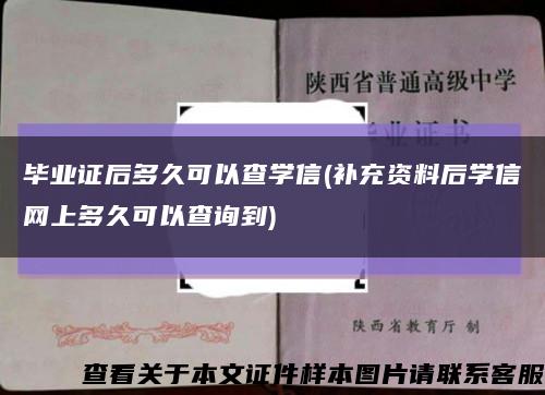 畢業證后多久可以查學信(補充資料后學信網上多久可以查詢到)縮略圖
