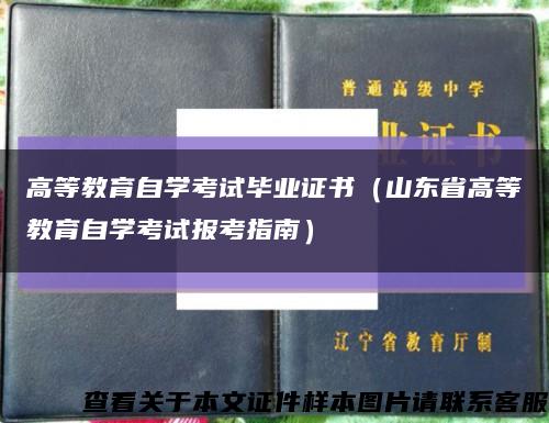 高等教育自學考試畢業證書（山東省高等教育自學考試報考指南）縮略圖
