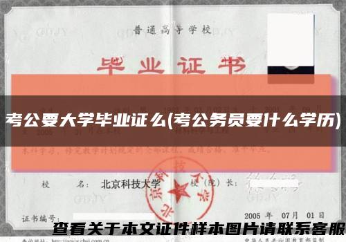 考公要大學畢業證么(考公務員要什么學歷)縮略圖