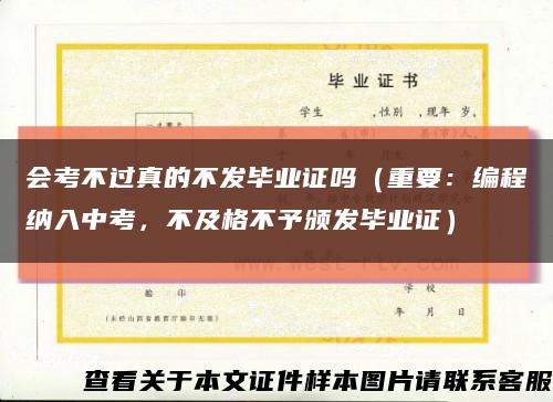 會考不過真的不發畢業證嗎（重要：編程納入中考，不及格不予頒發畢業證）縮略圖