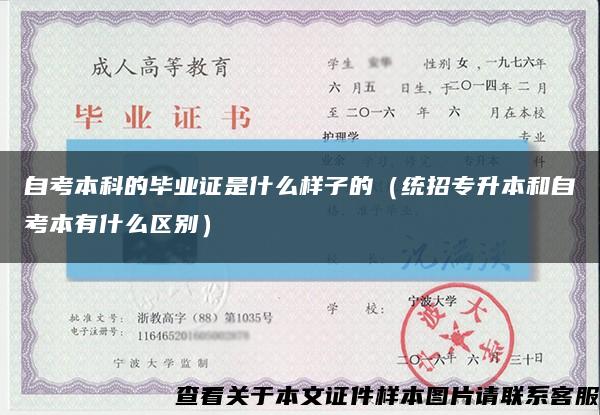 自考本科的畢業證是什么樣子的（統招專升本和自考本有什么區別）縮略圖
