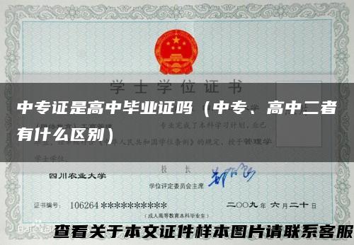 中專證是高中畢業證嗎（中專、高中二者有什么區別）縮略圖