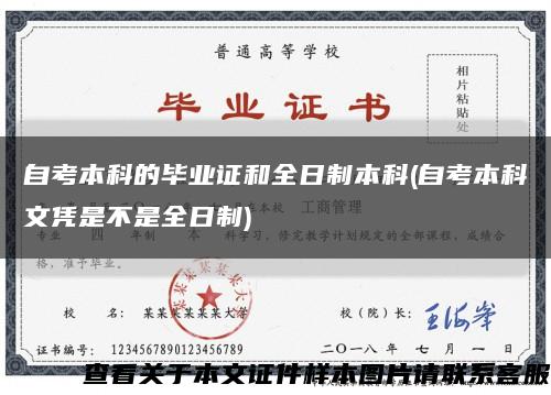 自考本科的畢業證和全日制本科(自考本科文憑是不是全日制)縮略圖