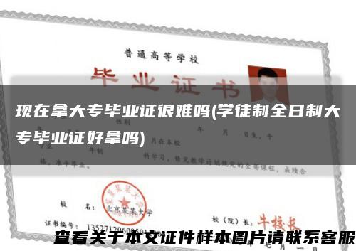 現在拿大專畢業證很難嗎(學徒制全日制大專畢業證好拿嗎)縮略圖