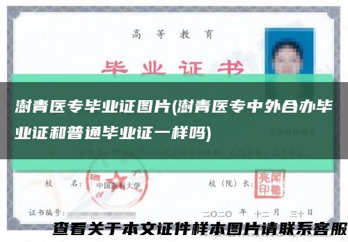 澍青醫專畢業證圖片(澍青醫專中外合辦畢業證和普通畢業證一樣嗎)縮略圖