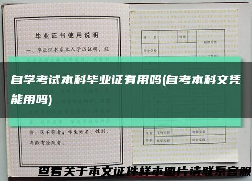 自學考試本科畢業證有用嗎(自考本科文憑能用嗎)縮略圖
