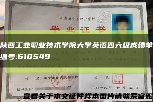 陜西工業職業技術學院大學英語四六級成績單編號:610549縮略圖