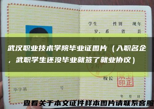 武漢職業技術學院畢業證圖片（入職名企，武職學生還沒畢業就簽了就業協議）縮略圖