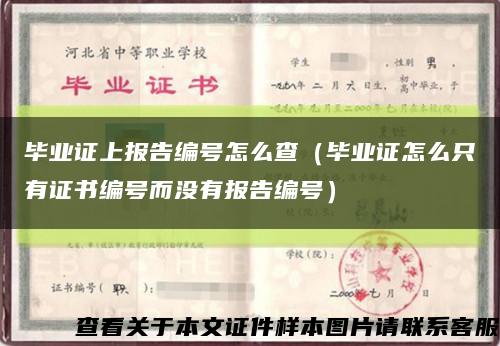 畢業證上報告編號怎么查（畢業證怎么只有證書編號而沒有報告編號）縮略圖