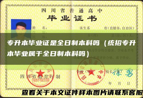 專升本畢業證是全日制本科嗎（統招專升本畢業屬于全日制本科嗎）縮略圖