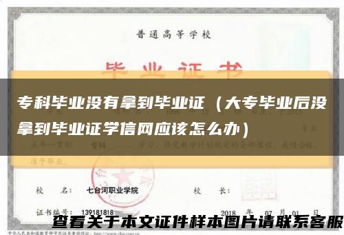 ?？飘厴I沒有拿到畢業證（大專畢業后沒拿到畢業證學信網應該怎么辦）縮略圖