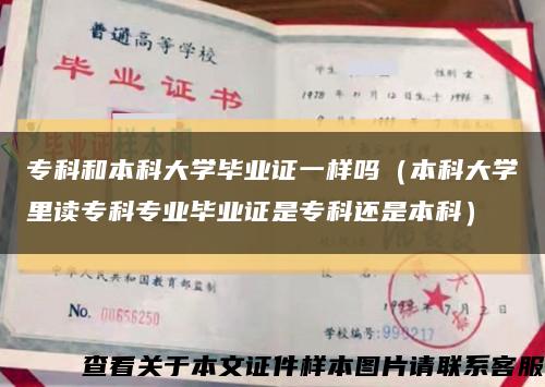 ?？坪捅究拼髮W畢業證一樣嗎（本科大學里讀?？茖I畢業證是?？七€是本科）縮略圖