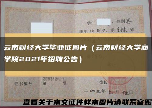 云南財經大學畢業證圖片（云南財經大學商學院2021年招聘公告）縮略圖