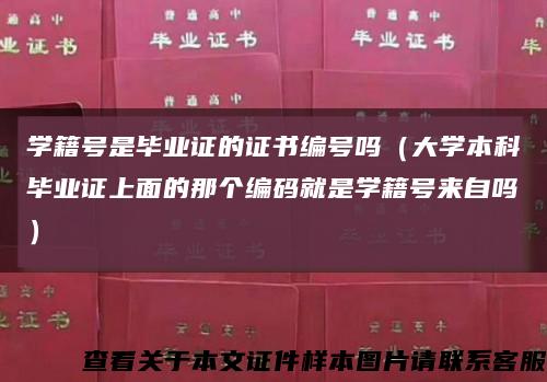 學籍號是畢業證的證書編號嗎（大學本科畢業證上面的那個編碼就是學籍號來自嗎）縮略圖