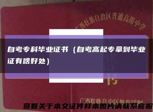 自考?？飘厴I證書（自考高起專拿到畢業證有啥好處）縮略圖