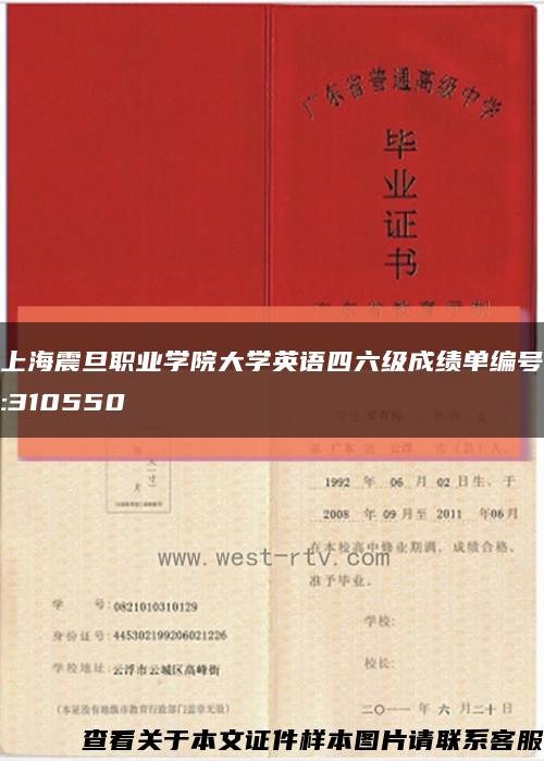 上海震旦職業學院大學英語四六級成績單編號:310550縮略圖