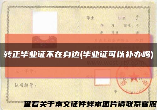 轉正畢業證不在身邊(畢業證可以補辦嗎)縮略圖
