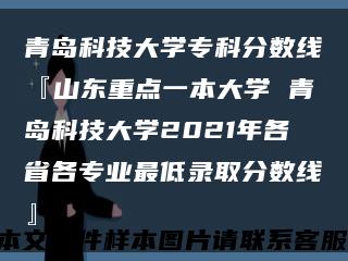 青島科技大學?？品謹稻€『山東重點一本大學 青島科技大學2021年各省各專業最低錄取分數線』縮略圖