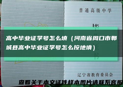 高中畢業證學號怎么填（河南省周口市鄲城縣高中畢業證學號怎么按地填）縮略圖