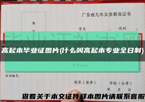 高起本畢業證圖片(什么叫高起本專業全日制)縮略圖