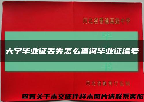 大學畢業證丟失怎么查詢畢業證編號縮略圖