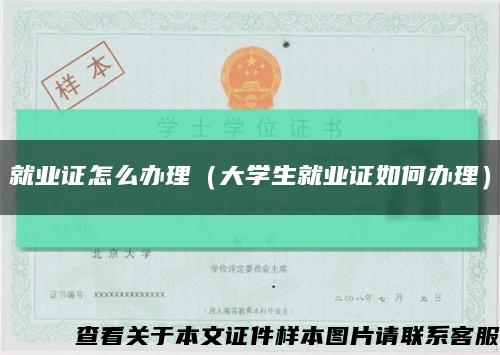 就業證怎么辦理（大學生就業證如何辦理）縮略圖