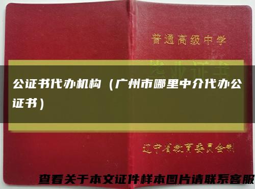 公證書代辦機構（廣州市哪里中介代辦公證書）縮略圖