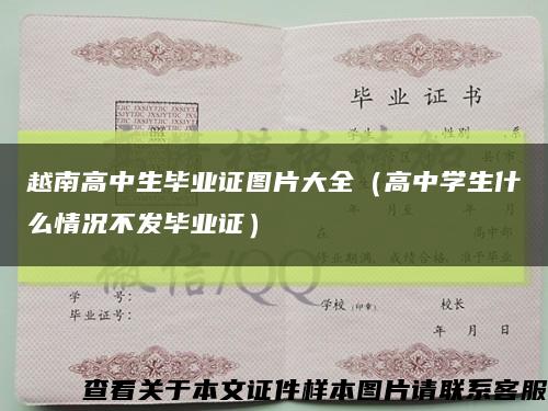 越南高中生畢業證圖片大全（高中學生什么情況不發畢業證）縮略圖