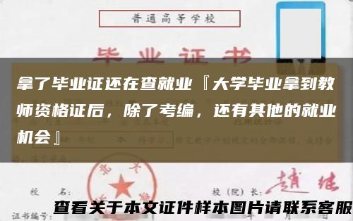 拿了畢業證還在查就業『大學畢業拿到教師資格證后，除了考編，還有其他的就業機會』縮略圖
