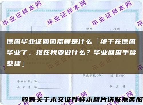德國畢業證回國流程是什么『終于在德國畢業了，現在我要做什么？畢業回國手續整理』縮略圖