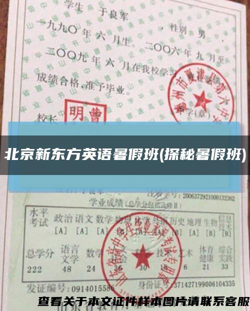 北京新東方英語暑假班(探秘暑假班)縮略圖