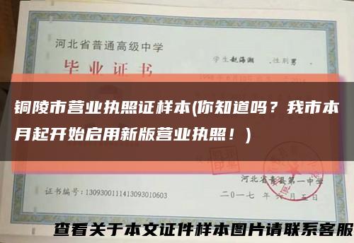 銅陵市營業執照證樣本(你知道嗎？我市本月起開始啟用新版營業執照！)縮略圖