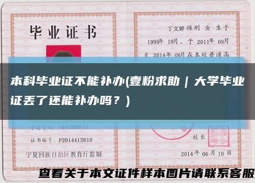 本科畢業證不能補辦(壹粉求助｜大學畢業證丟了還能補辦嗎？)縮略圖