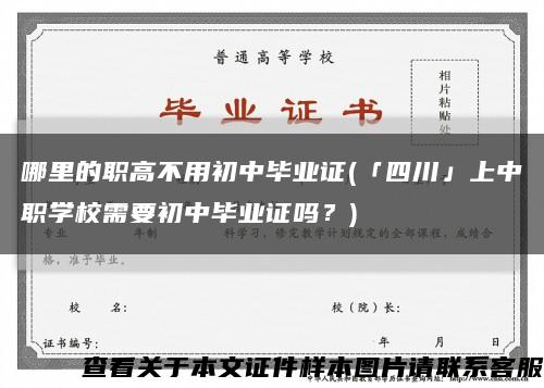 哪里的職高不用初中畢業證(「四川」上中職學校需要初中畢業證嗎？)縮略圖