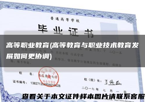 高等職業教育(高等教育與職業技術教育發展如何更協調)縮略圖