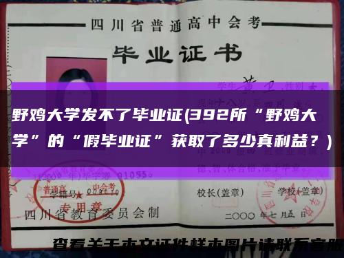 野雞大學發不了畢業證(392所“野雞大學”的“假畢業證”獲取了多少真利益？)縮略圖