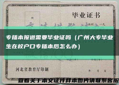 專插本報道需要畢業證嗎（廣州大專畢業生在校戶口專插本后怎么辦）縮略圖