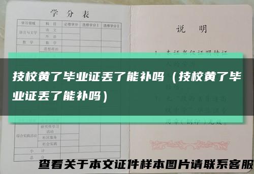 技校黃了畢業證丟了能補嗎（技校黃了畢業證丟了能補嗎）縮略圖
