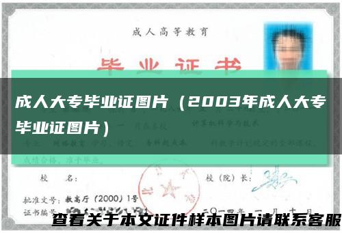 成人大專畢業證圖片（2003年成人大專畢業證圖片）縮略圖