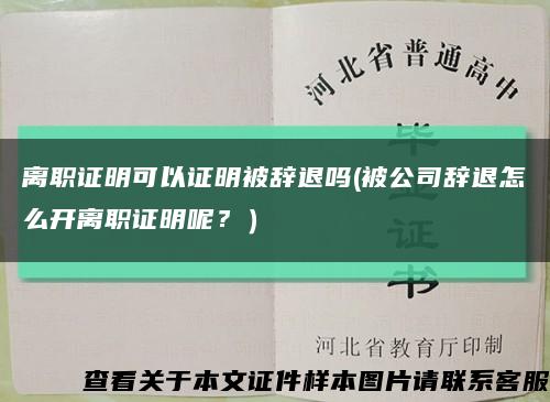 離職證明可以證明被辭退嗎(被公司辭退怎么開離職證明呢？）縮略圖