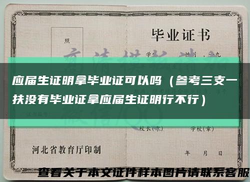 應屆生證明拿畢業證可以嗎（參考三支一扶沒有畢業證拿應屆生證明行不行）縮略圖